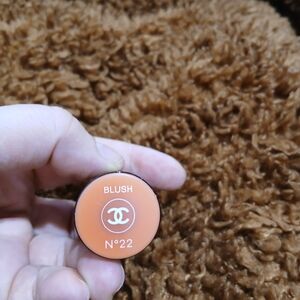Chanel Blush N°22
